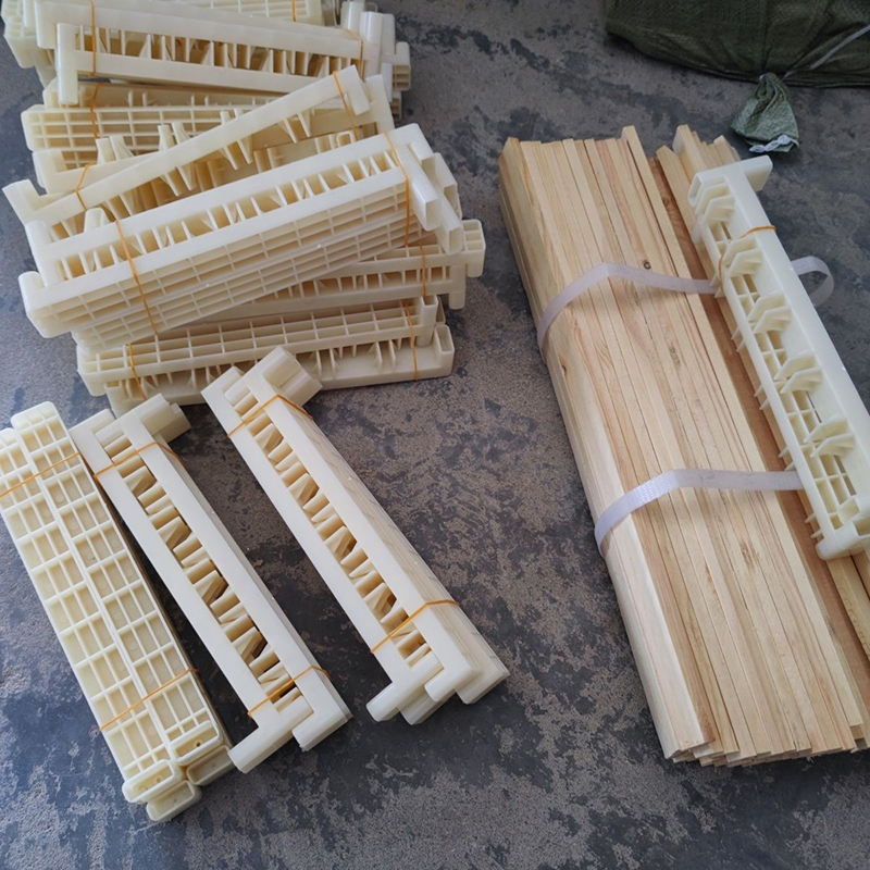 Bee Breeding Frames Plastic Ch – обзор и цена Begonia Rex