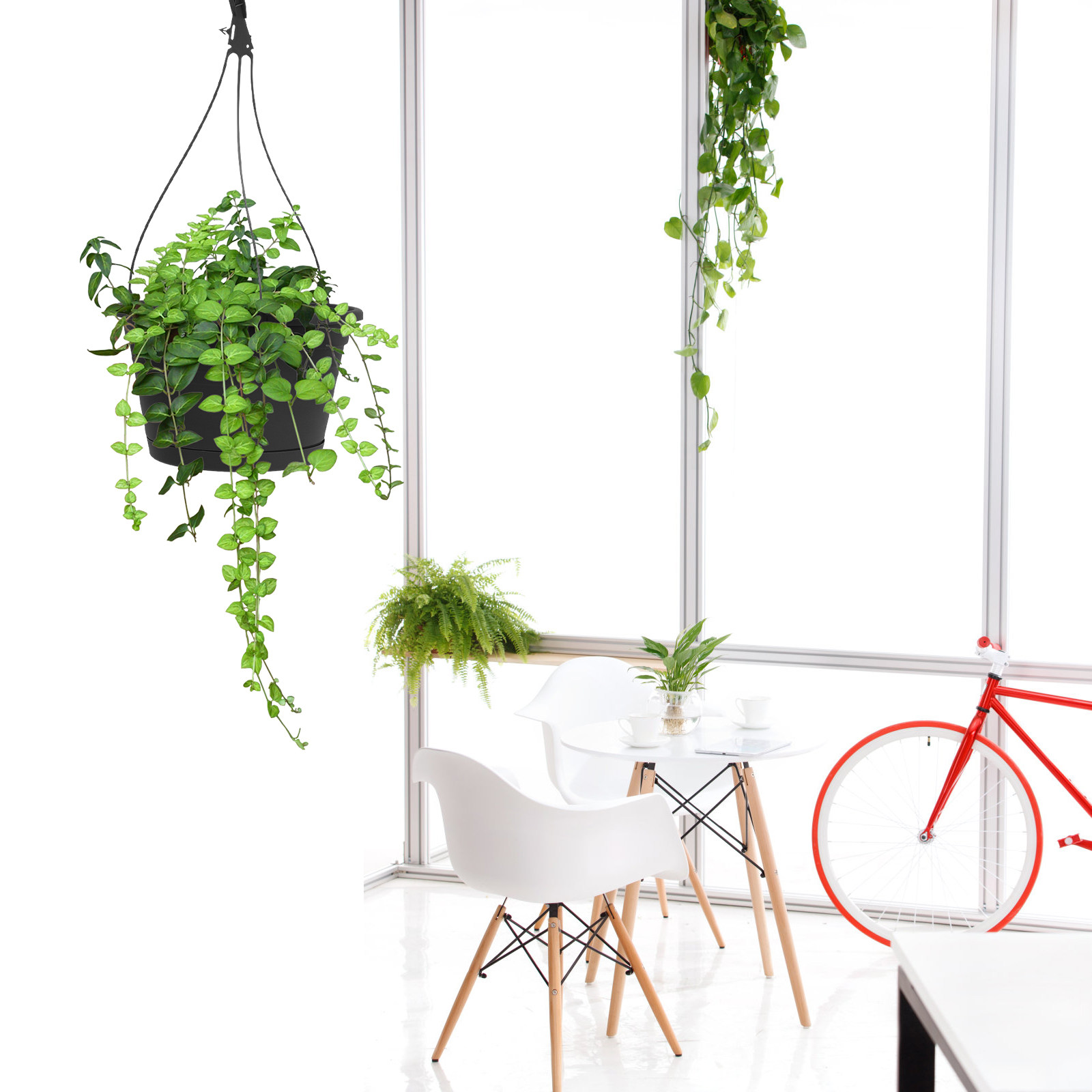 1Pcs Modern Hanging Flowerpot  – обзор и цена Spider Plant Hanging