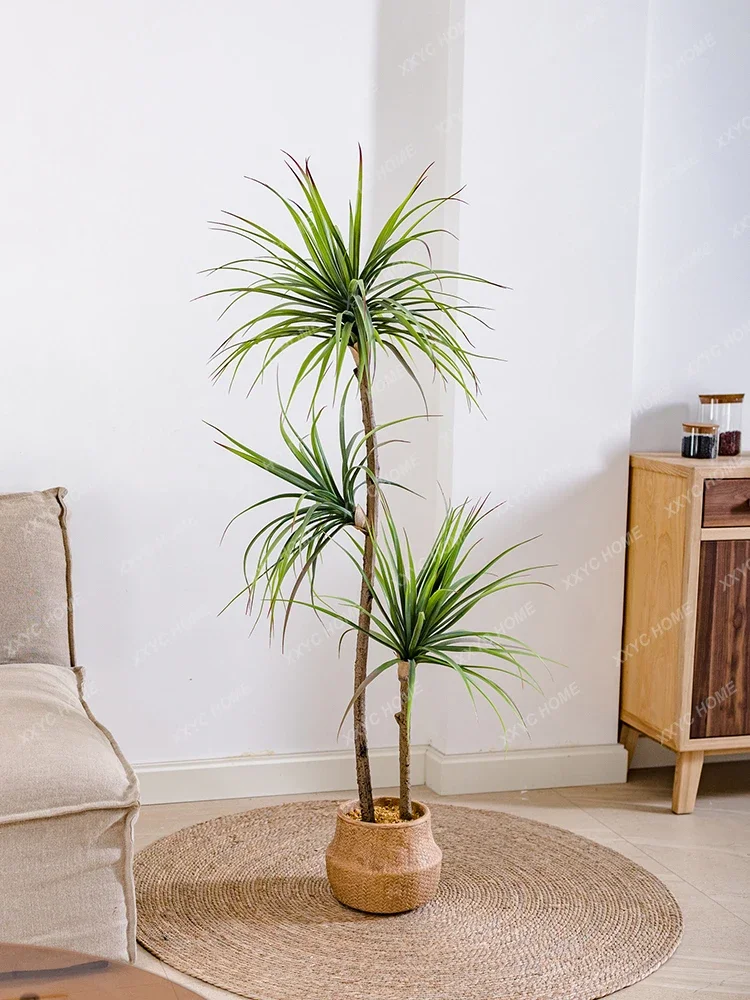 Light Luxury Simulation Green  – обзор и цена Dracaena Marginata