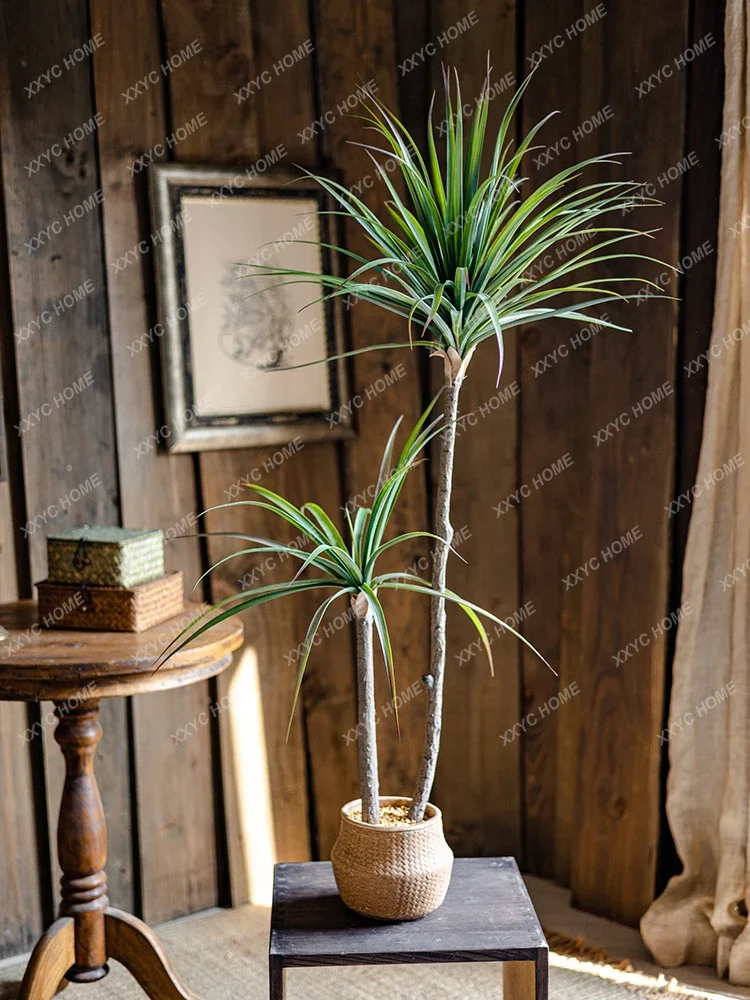 Light Luxury Simulation Green  – обзор и цена Dracaena Marginata