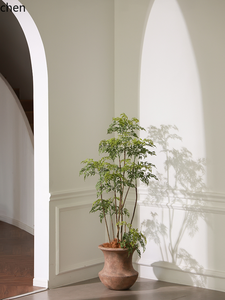 LYY  Floor Vase Green Plant Ar – обзор и цена Ficus Lyrata Tree