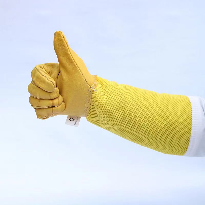1 Pair Beekeeping Gloves Sting – обзор и цена Begonia Rex