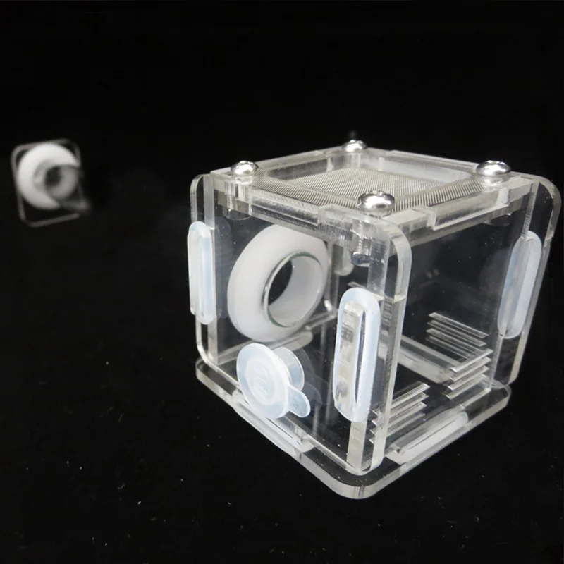 DIY Various Size Ant Farm Bamb – обзор и цена Begonia Rex