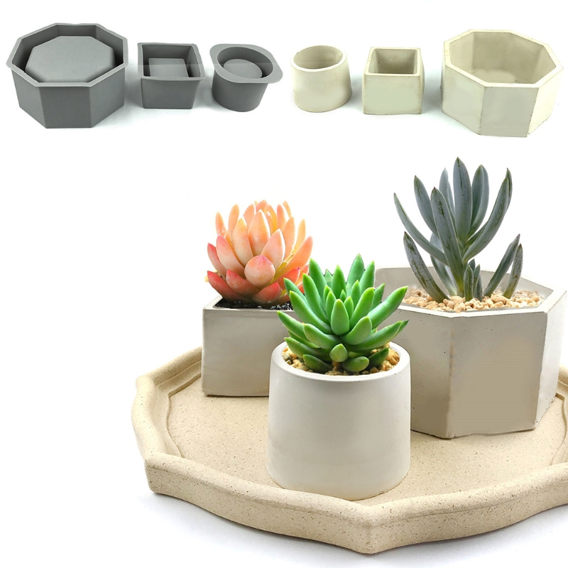 Handmade Succulent Planter Flo – обзор и цена Echeveria Succulent
