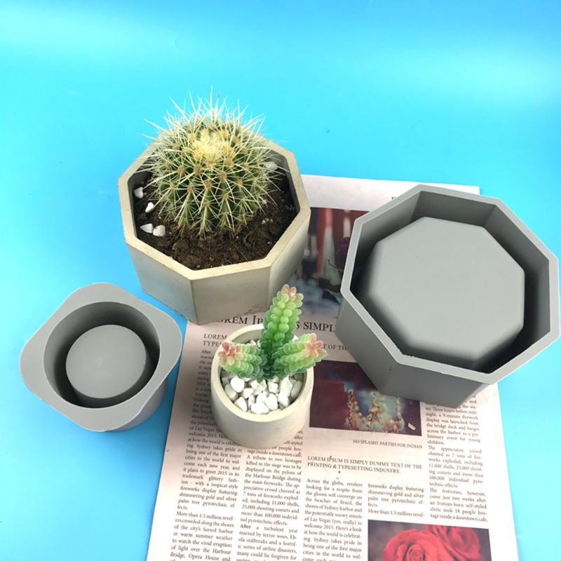 Handmade Succulent Planter Flo – обзор и цена Echeveria Succulent