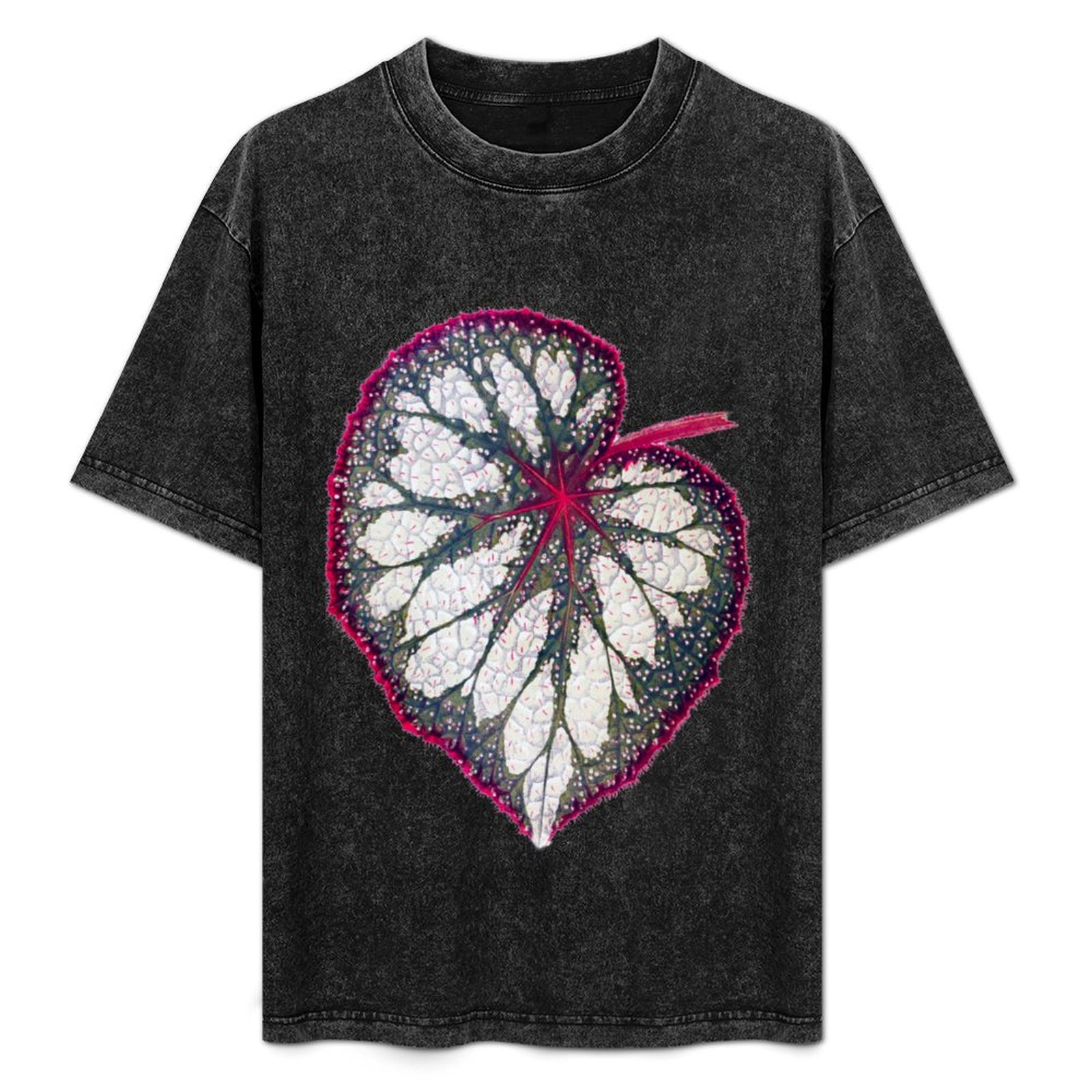 Begonia rex T-Shirt Holiday Si – обзор и цена Begonia Rex