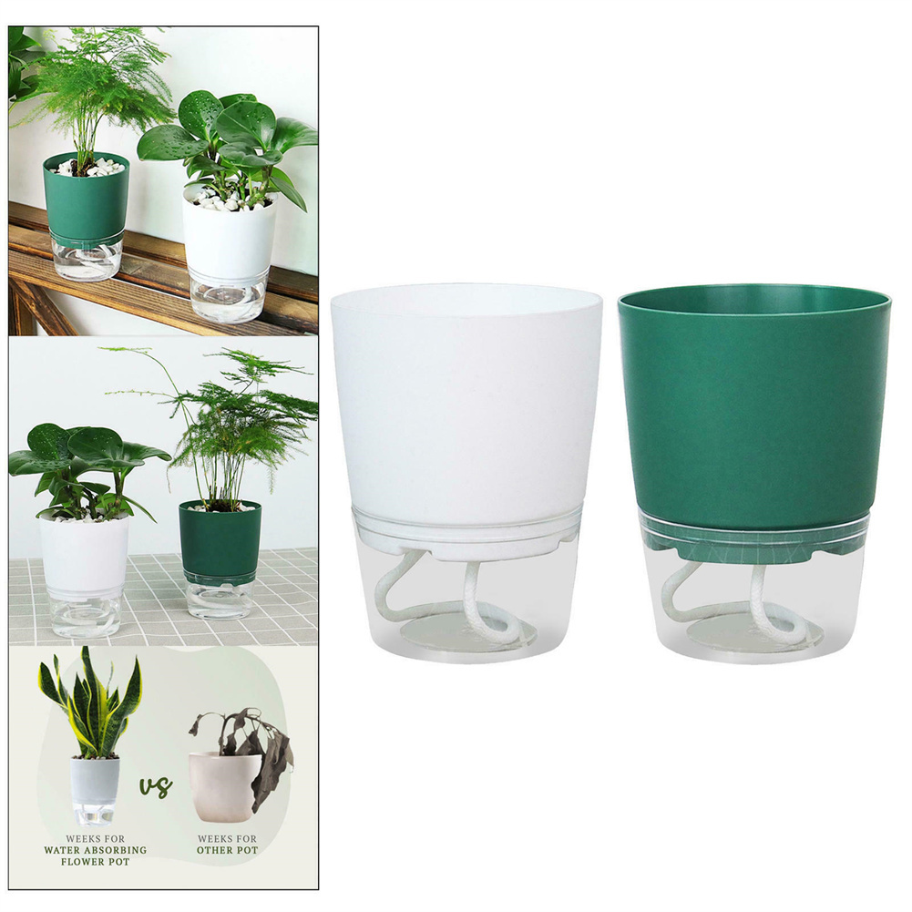 Lazy Hydroponic Flower Pot Aut – обзор и цена Aloe Vera Pot