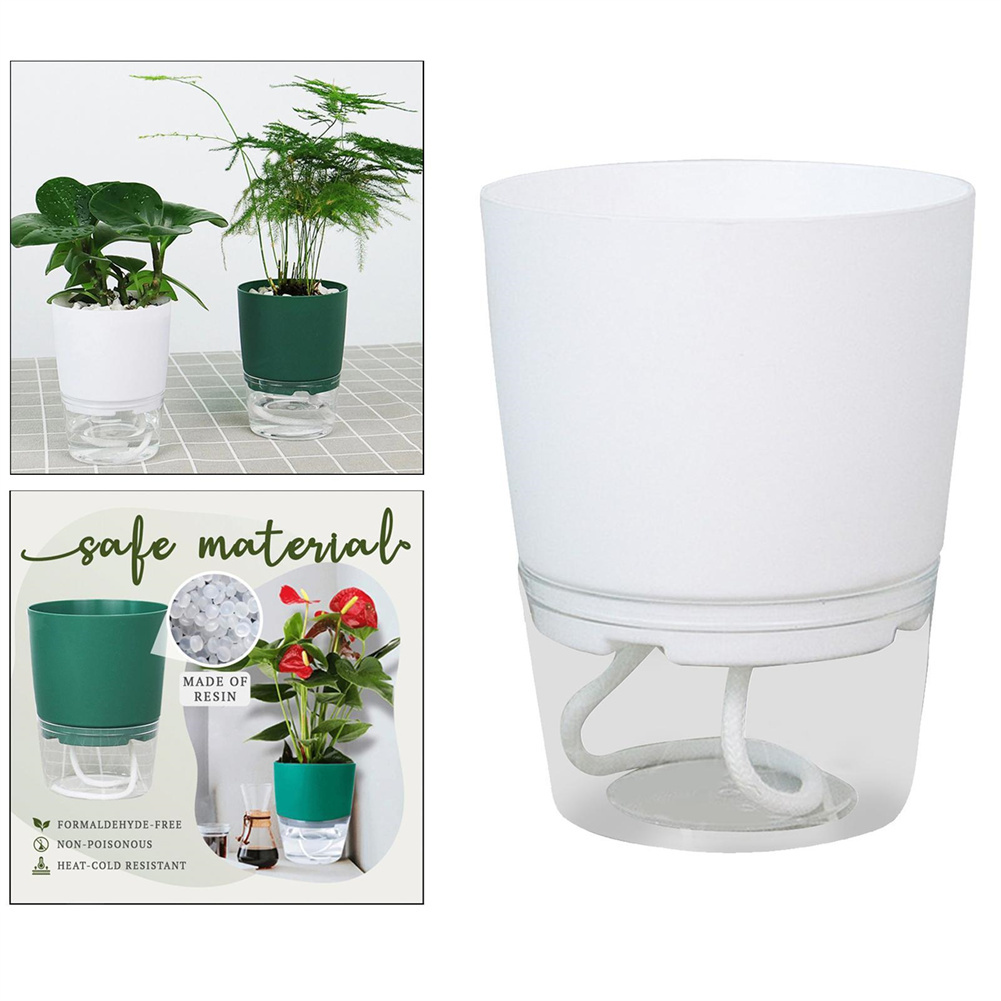 Lazy Hydroponic Flower Pot Aut – обзор и цена Aloe Vera Pot