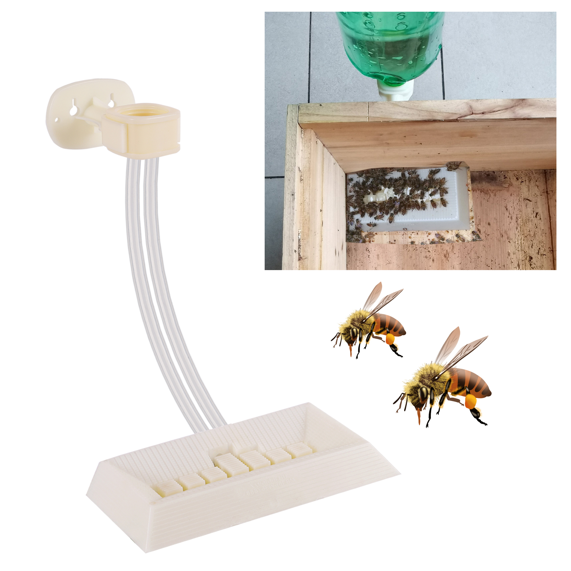 2Pcs Automatic Feeding Drinker – обзор и цена Begonia Rex
