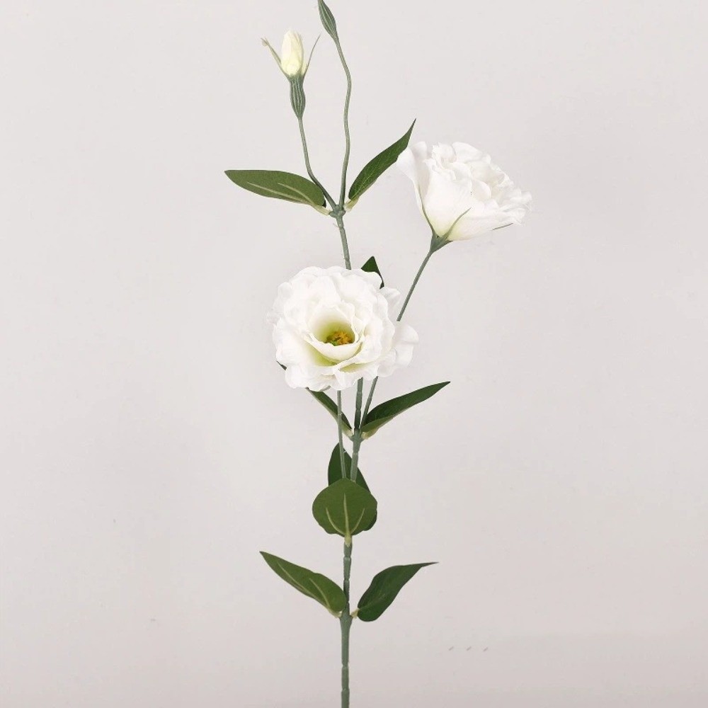 Platycodon Flower Artificial B – обзор и цена Ficus Lyrata Tree