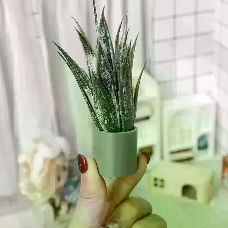 Dollhouse Decor Mini Aloe Vera – обзор и цена Aloe Vera Pot