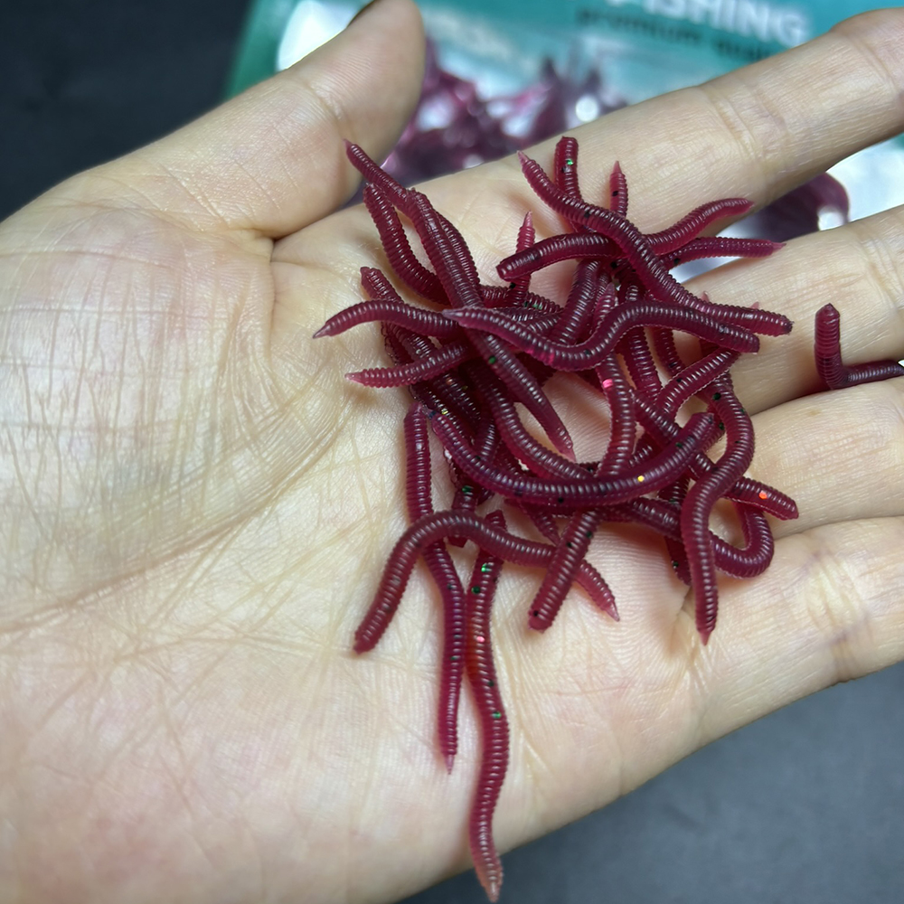 100-200pcs Soft Lure Bass Brea – обзор и цена Aglaonema Red