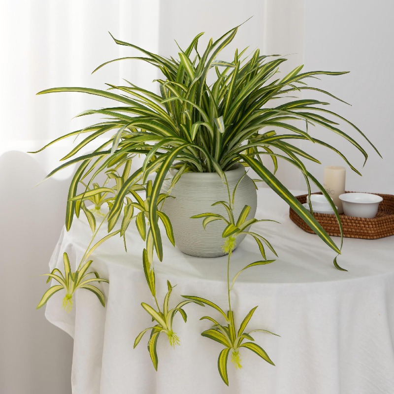 Artificial Spider Plant Chloro – обзор и цена Spider Plant Hanging