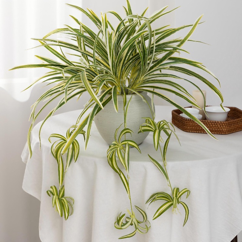 Artificial Spider Plant Chloro – обзор и цена Spider Plant Hanging