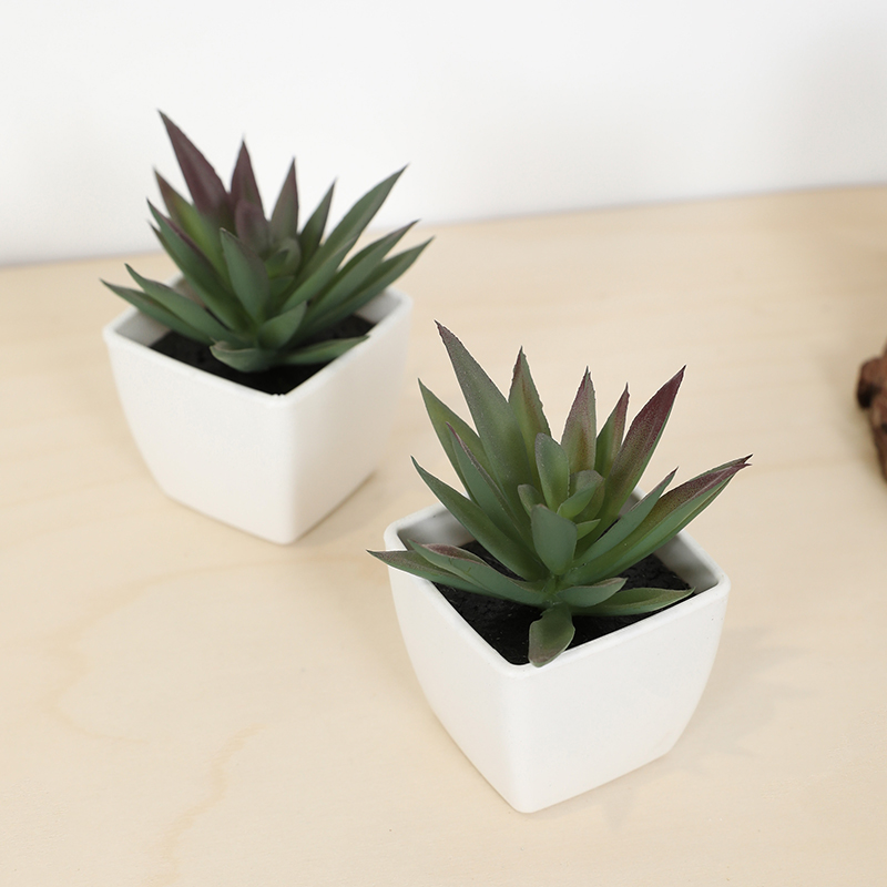 Mini Artificial Succulent Fair – обзор и цена Echeveria Succulent