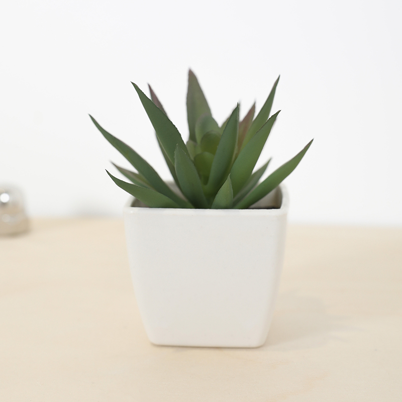 Mini Artificial Succulent Fair – обзор и цена Echeveria Succulent