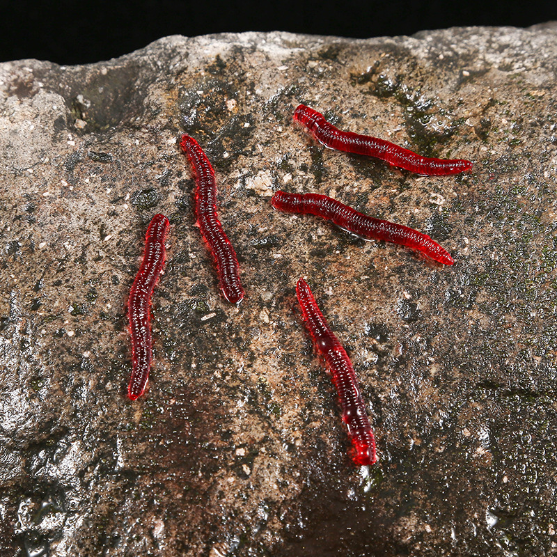 CIBO 50pcs-Artificial Red Worm – обзор и цена Aglaonema Red