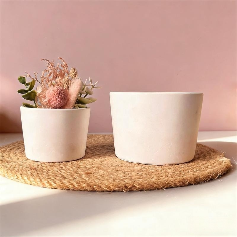 Round Plaster Vase Flowerpot C – обзор и цена Echeveria Succulent