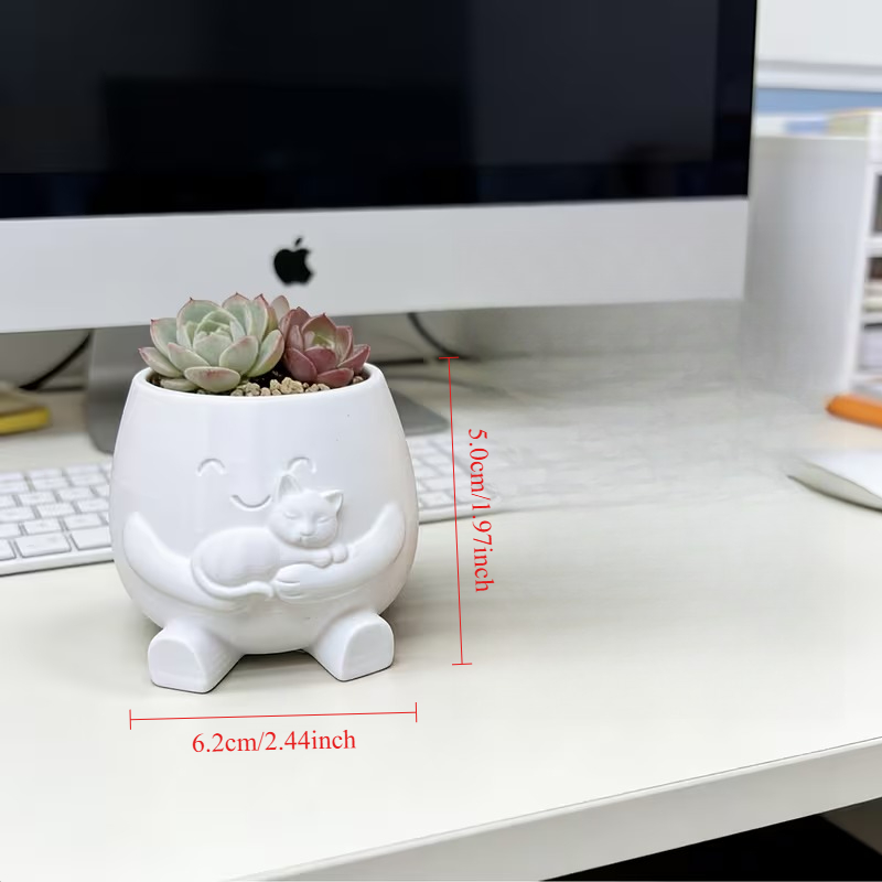 3D Printed Cat Flowerpot Decor – обзор и цена Echeveria Succulent