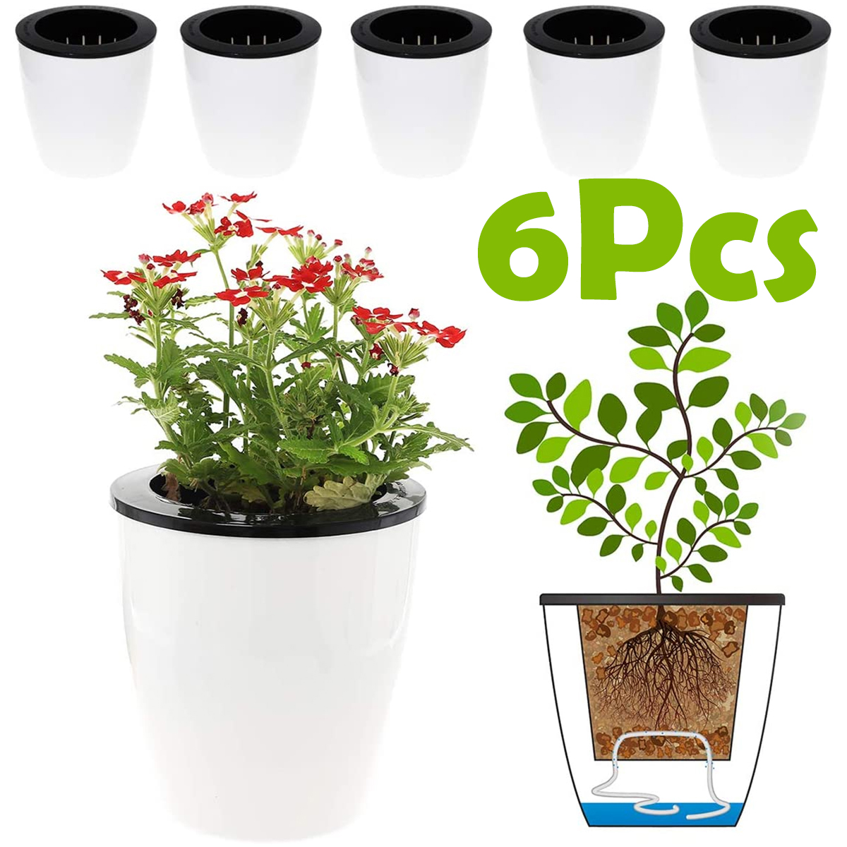 6/12Pcs Self-Watering Flower P – обзор и цена Aloe Vera Pot