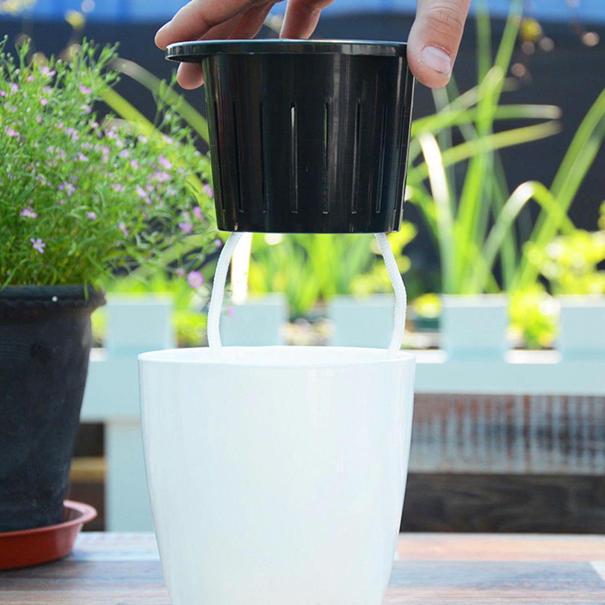6/12Pcs Self-Watering Flower P – обзор и цена Aloe Vera Pot