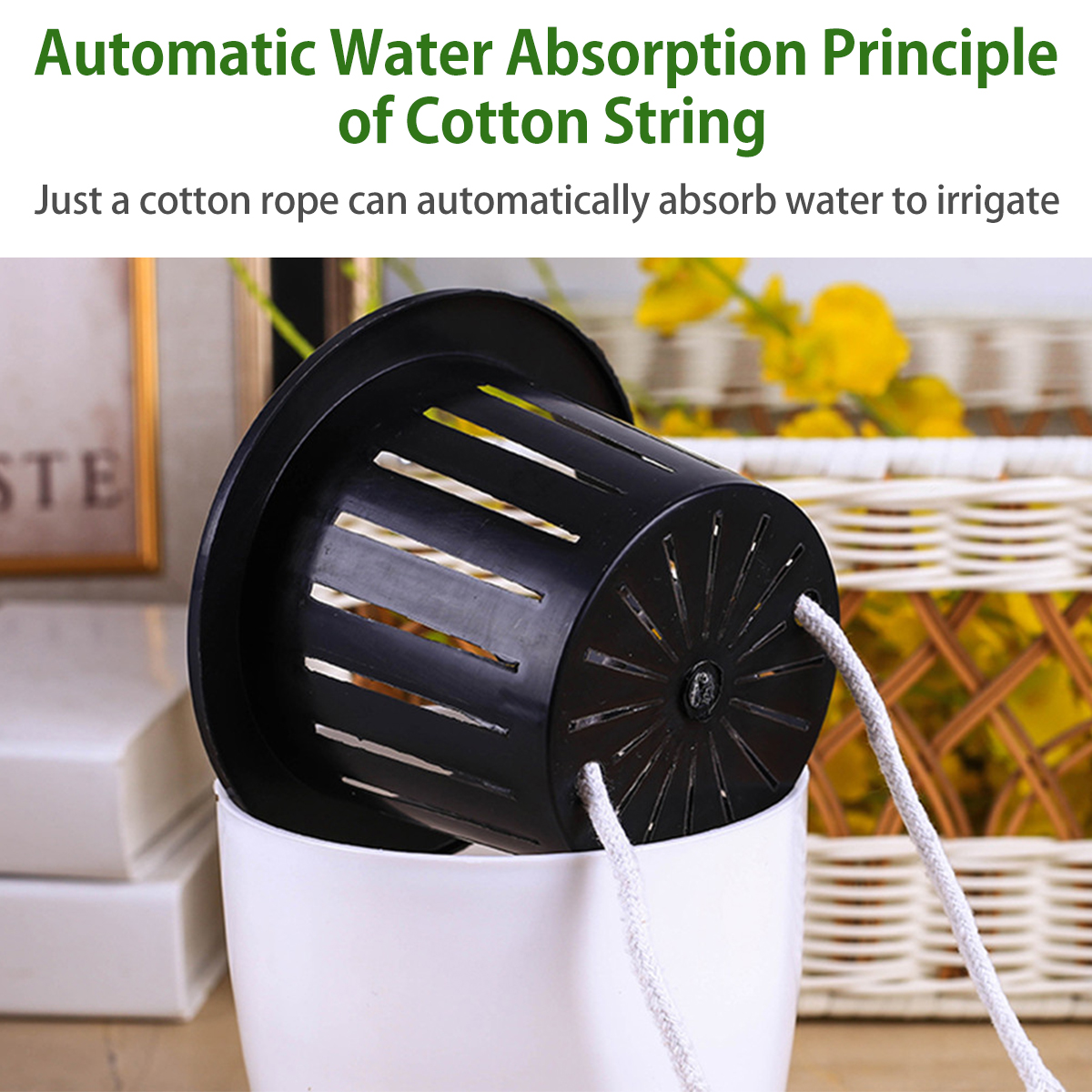 6/12Pcs Self-Watering Flower P – обзор и цена Aloe Vera Pot