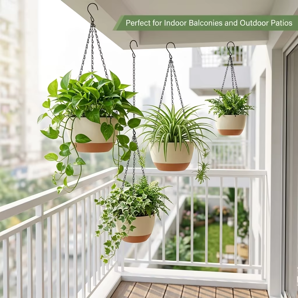 Modern Everyday Dual-Color Han – обзор и цена Spider Plant Hanging