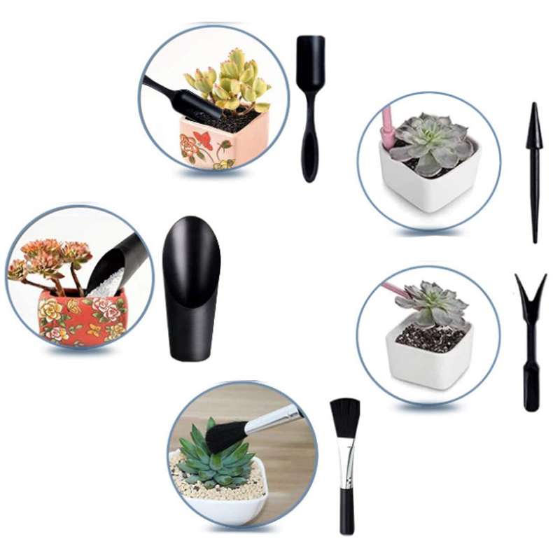 Mini Gardening Tool Set Label  – обзор и цена Echeveria Succulent