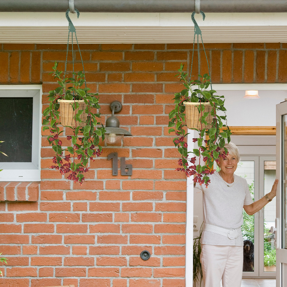 5Pcs Hanging Planter Hooks Ver – обзор и цена Spider Plant Hanging