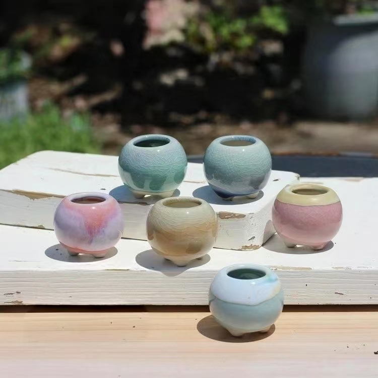 6Pcs Mini Flowerpot Succulents – обзор и цена Echeveria Succulent