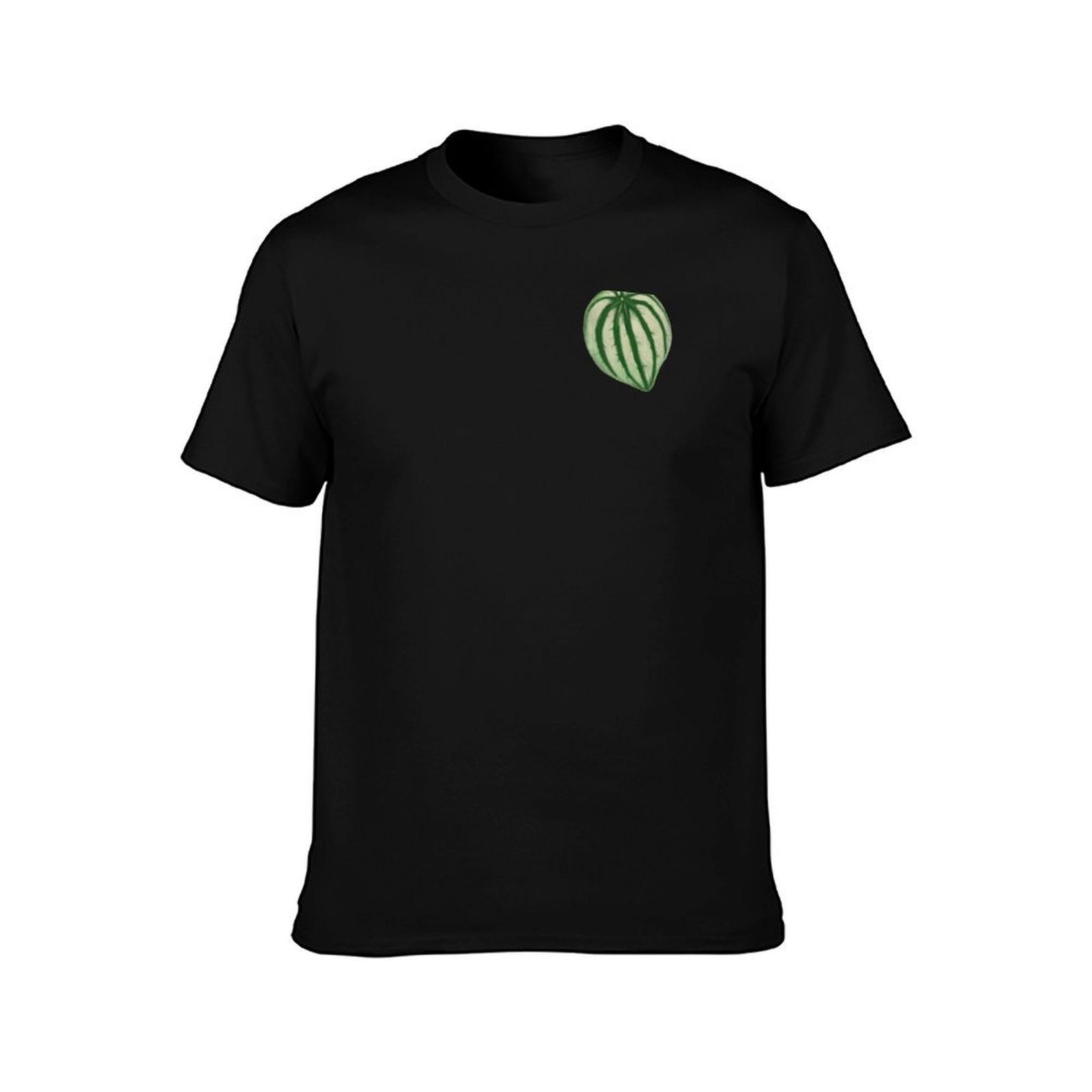 Watermelon Peperomia T-Shirt C – обзор и цена Peperomia Watermelon