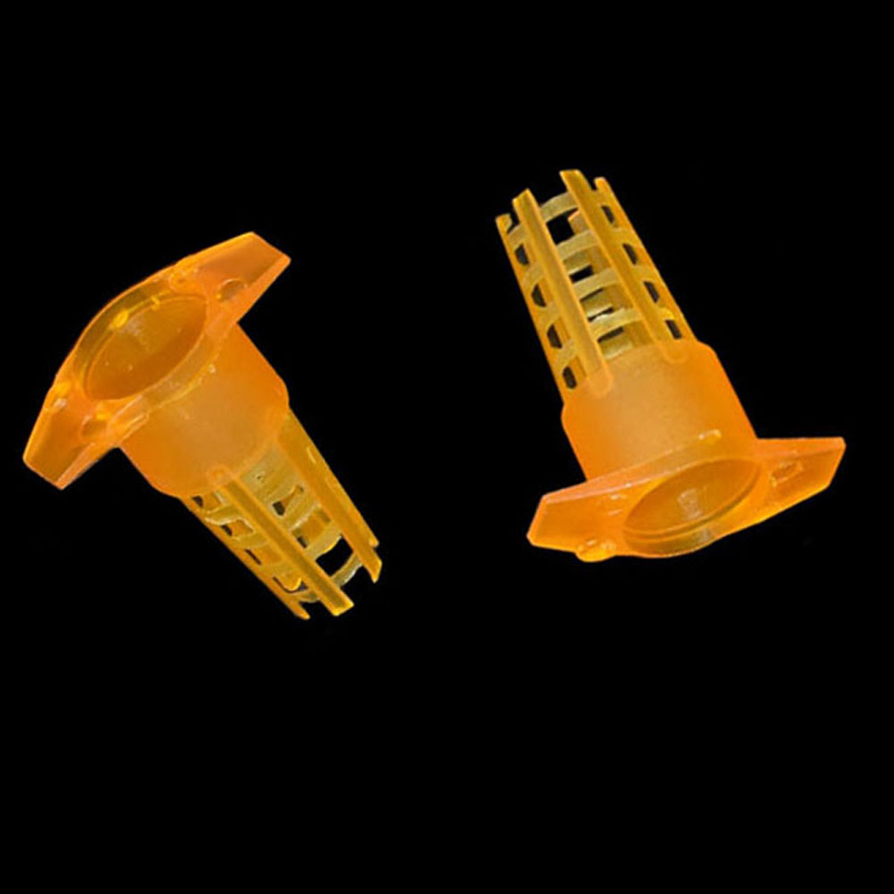 20 pcs Plastic Bee Queen Cage  – обзор и цена Begonia Rex