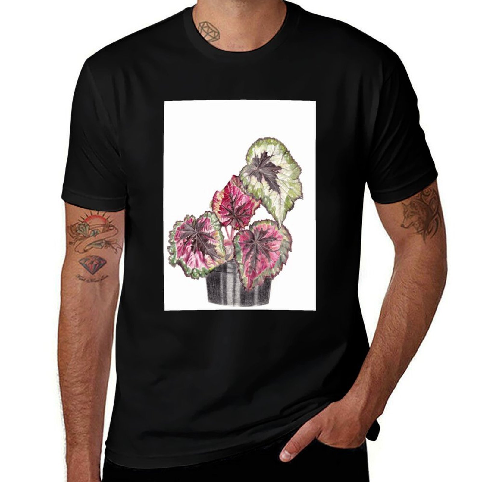 Begonia Rex T-Shirt Simple Gra – обзор и цена Begonia Rex