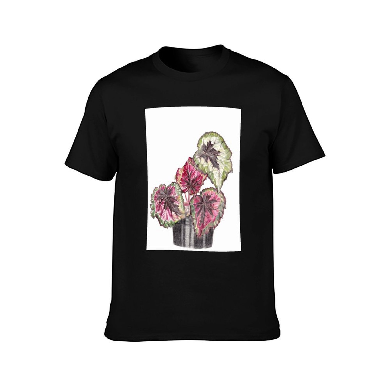 Begonia Rex T-Shirt Simple Gra – обзор и цена Begonia Rex