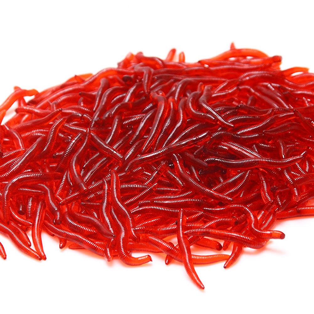50/100PCS Soft Lure Bass Bream – обзор и цена Aglaonema Red