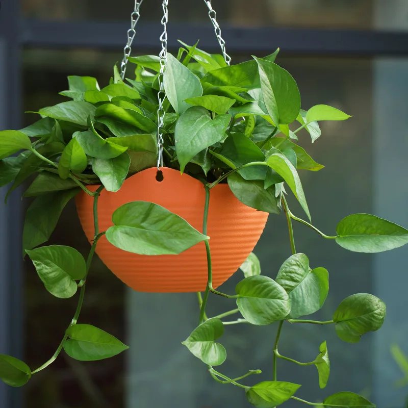 Plastic hanging basket flower  – обзор и цена Spider Plant Hanging